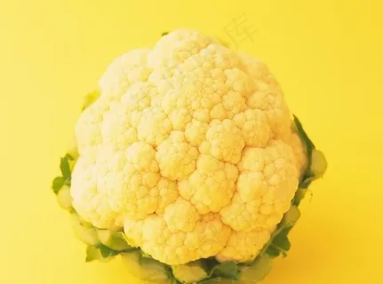 菜花图片 菜花图片