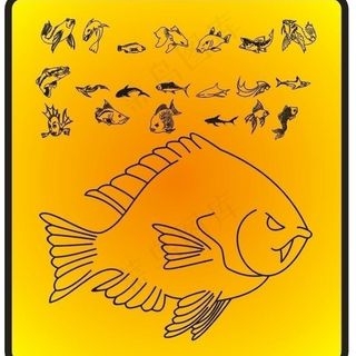 鱼 矢量 动物 图案 下载图片