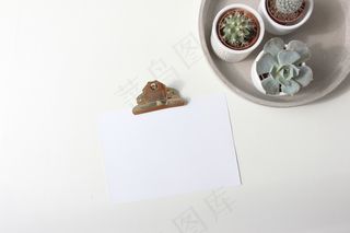 简约小清新文艺风插花静物摆拍背景