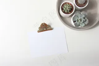 简约小清新文艺风插花静物摆拍背景