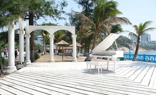 树林旁边的钢琴图片