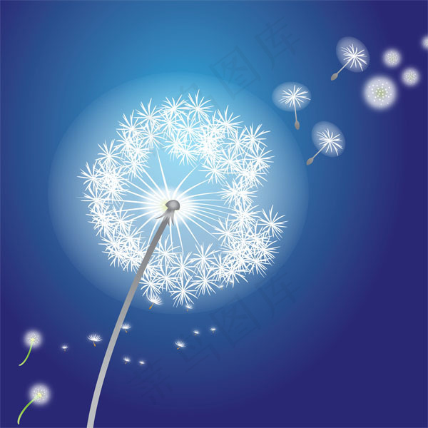 矢量蒲公英