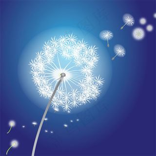 矢量蒲公英 矢量蒲公英