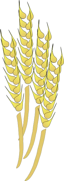 davosmith小麦剪贴画