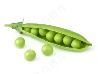 豌豆摄影