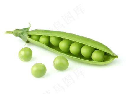 豌豆摄影 豌豆摄影