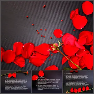 玫瑰花瓣PPT模板