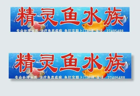 精灵鱼水族图片