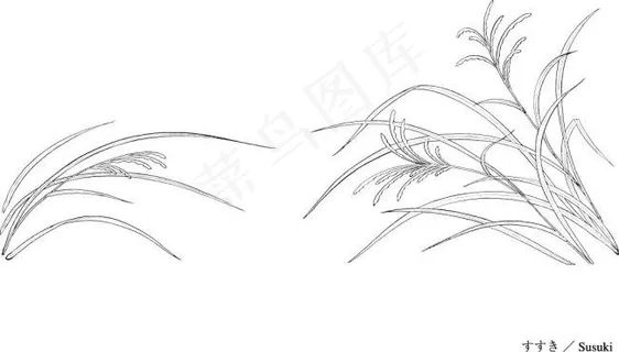 日本花草工笔矢量图