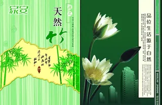 地产荷花海报图片