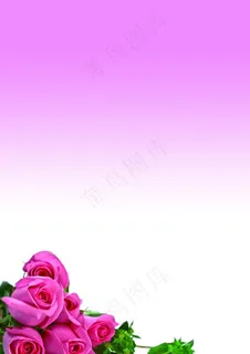 粉色展板模板图片