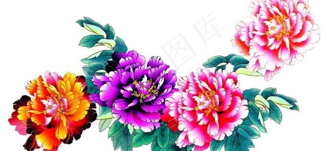 高清PSD牡丹花psd模版下载