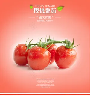 淘宝创意海报设计番茄水果食品ps下...