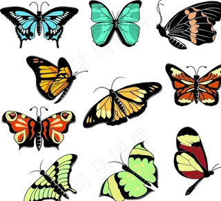 卡通蝴蝶图片