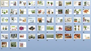 室内盆栽装饰ppt模板