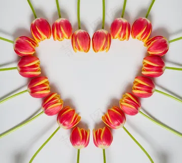 心形鲜花创意图案