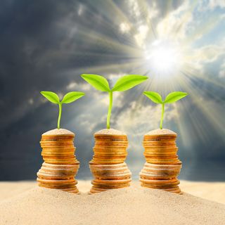 金币嫩芽小树苗孵化培育理财商务金融财富主题素材