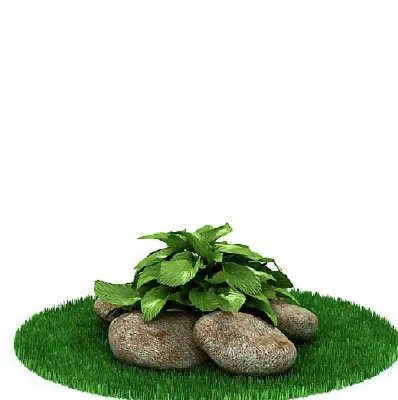 园林植物、景观植物、树木3D模型免...