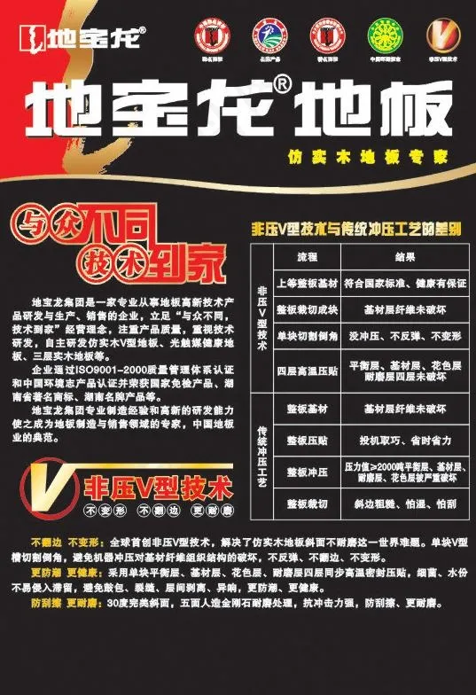 地宝龙dm单图片cdr矢量模版下载