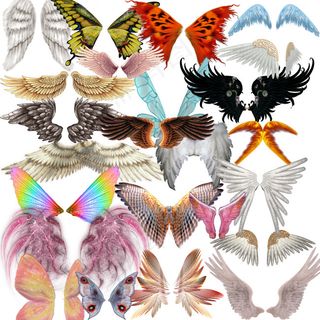 多种翅膀，应该是可以用的。