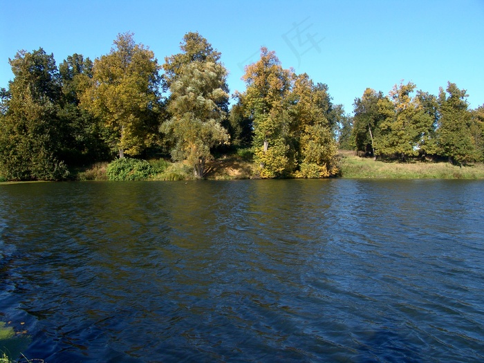 干净的湖水秋天树林风景