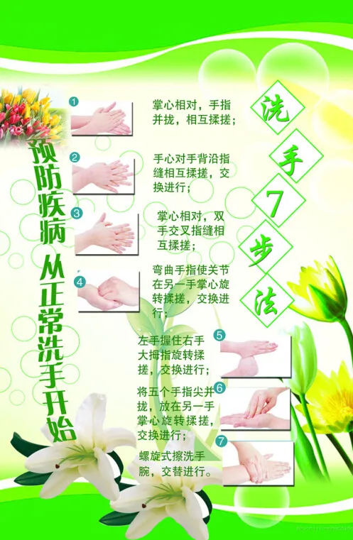 新七步洗手法psd模版下载