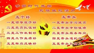 党建宣传图板五个好五带头白鸽子党徽*