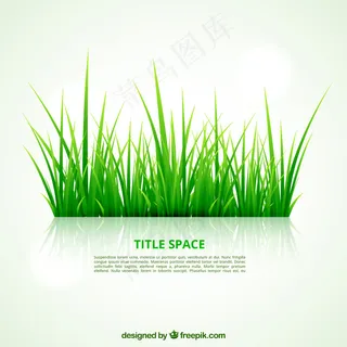 绿色的草模板