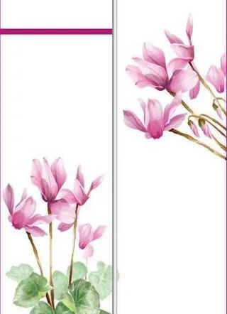 移门大全11 SH064