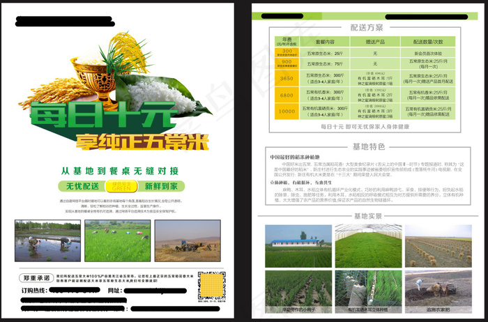 大米蔬菜配送服务宣传单张(250X315)cdr矢量模版下载