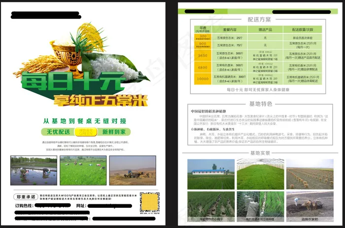 大米蔬菜配送服务宣传单张(250X315)cdr矢量模版下载