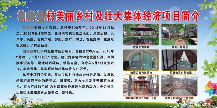 玲玲柏尖沟村美丽乡村及壮大集体经济项目简介 psd模版下载