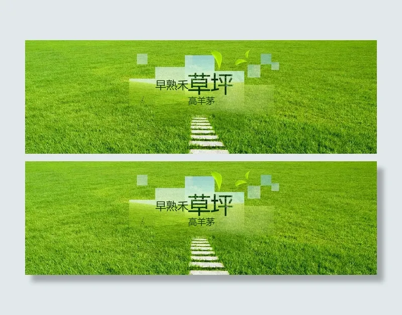 改革创新的草品banner高清psd图psd模版下载