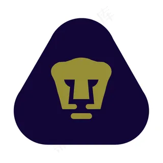 墨西哥国立自治大学美洲狮