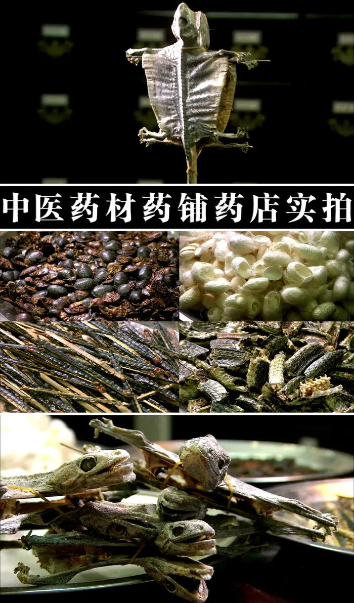 中医药材药铺药店药房实拍视频