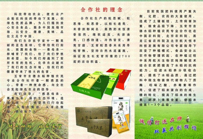 大米三折页图片(3437X2551(DPI:300))psd模版下载