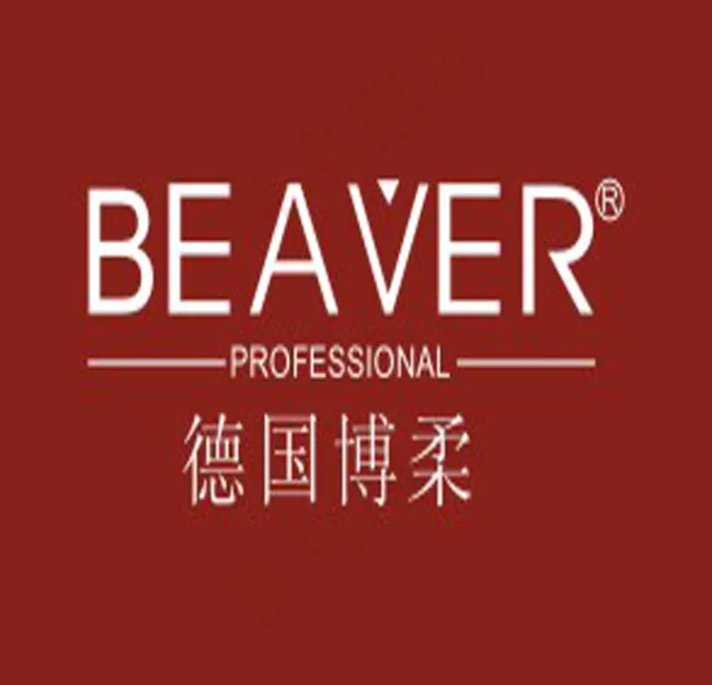 德国博柔cdr矢量模版下载