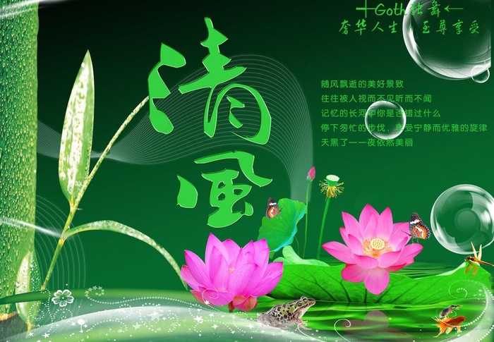 清风·荷花图片psd模版下载