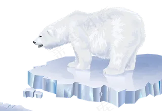 冬天寒冷北极熊PNG免扣图片