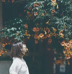 风景
