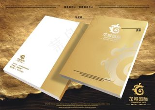 龙城国际VI设计样本画面