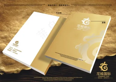 龙城国际VI设计样本画面 龙城国际VI设计样本画面