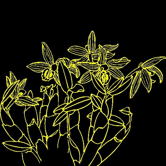 白描花卉 矢量CDR_08cdr矢量模版下载