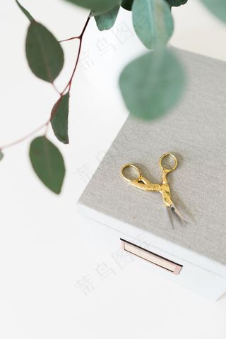 简约小清新文艺风插花静物摆拍背景