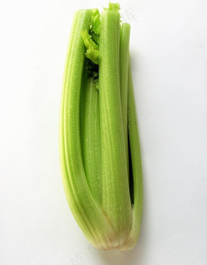 芹菜图片