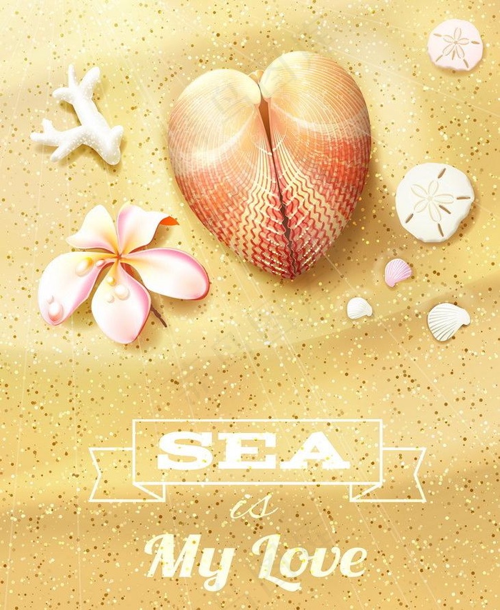 沙滩海洋生物图片