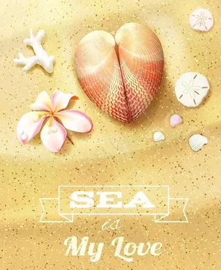 沙滩海洋生物图片