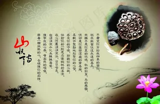 中国传统文化 莲子图片