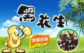 花生海报图片