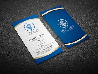 竖版蓝色企业名片设计PSD素材